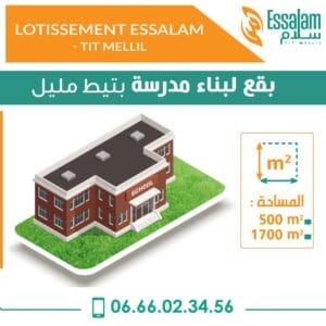 Promotion 8 431488037 938916577572803 9162422591503050446 n 1